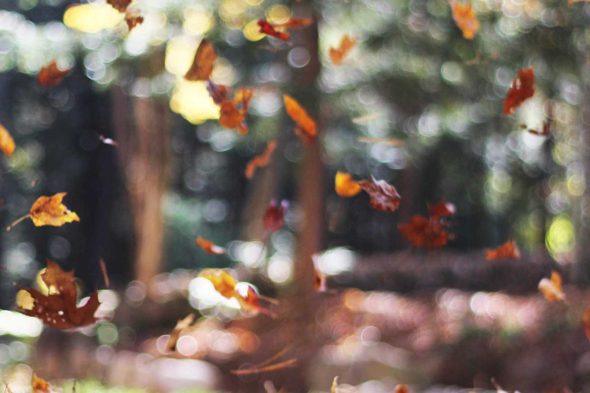 直播镜头前直击：素人嘉宾剧本造假，短时间内最新进展